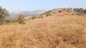 Plot Area in  Plot at Panshet – for Sale