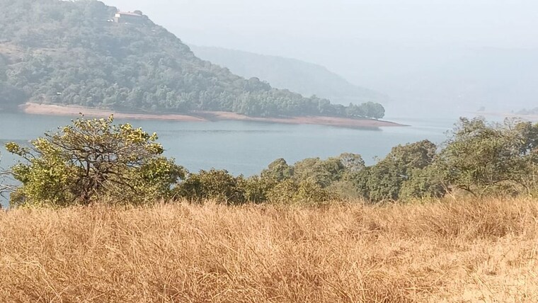 undefined, panshet  520000 Sq.Ft. Plot In Panshet Pune 10002978