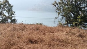 Plot Area in  Plot at Panshet – for Sale