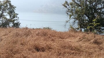 Plot Area in  Plot at Panshet – for Sale