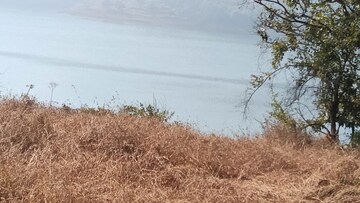 Plot Area in  Plot at Panshet – for Sale