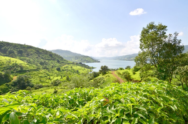 Garden, panshet  520000 Sq.Ft. Plot In Panshet Pune 10002978