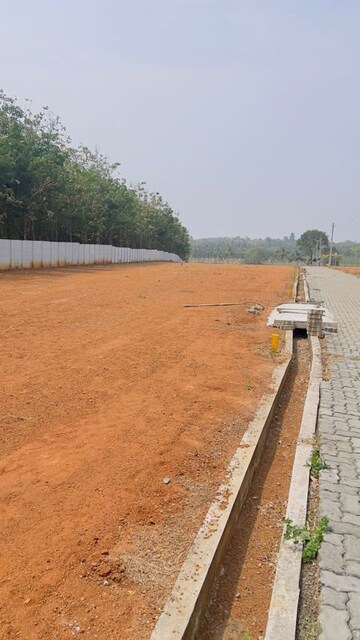 Plot Area in  Plot at KannadI-ii – for Sale