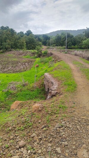 Plot Area in  Land at Vindhane – for Sale