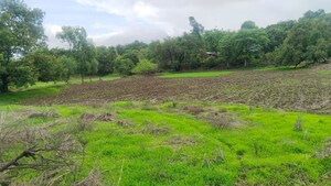  Land – Garden View at Vindhane - for Sale