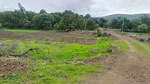 1089 Sq.Ft. Land in Vindhane