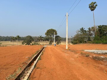 Plot Area in  Plot at Akathethara – for Sale