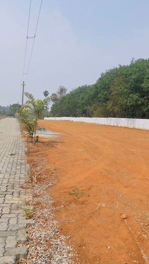 Plot Area in  Plot at Chandranagar Colony – for Sale