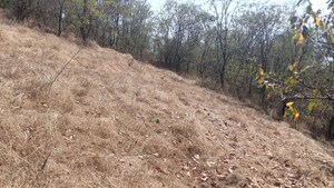 Plot Area in  Plot at Panshet – for Sale