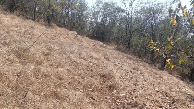 undefined, panshet  40000 Sq.Ft. Plot In Panshet Pune 10003020