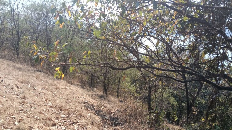 undefined, panshet  40000 Sq.Ft. Plot In Panshet Pune 10003020