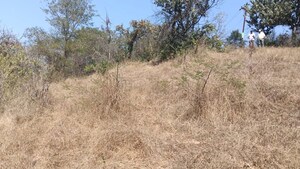 Plot Area in  Plot at Panshet – for Sale