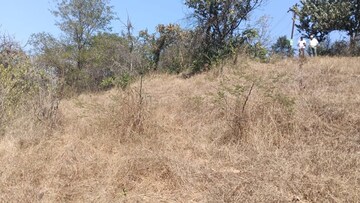 Plot Area in  Plot at Panshet – for Sale