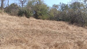 Plot Area in  Plot at Panshet – for Sale