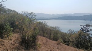 Plot Area in  Plot at Panshet – for Sale