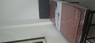  Pg For Rent in Ghansoli