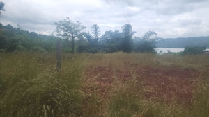 Plot Area in  Plot at Varasgaon – for Sale