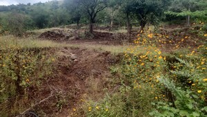 Plot Area in  Plot at Varasgaon – for Sale