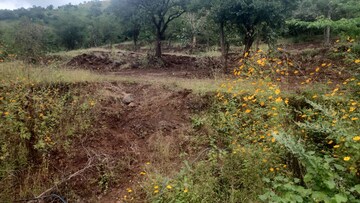 Plot Area in  Plot at Varasgaon – for Sale