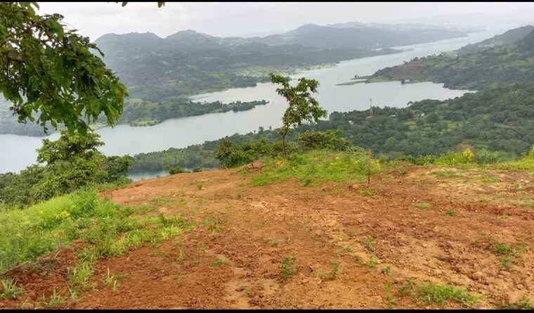 undefined, panshet  11840 Sq.Ft. Plot In Panshet Pune 10003112