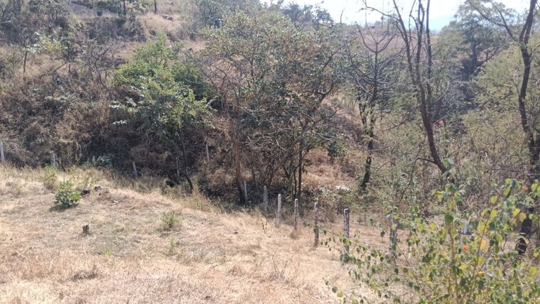 undefined, varasgaon  22000 Sq.Ft. Plot In Varasgaon Pune 10003111