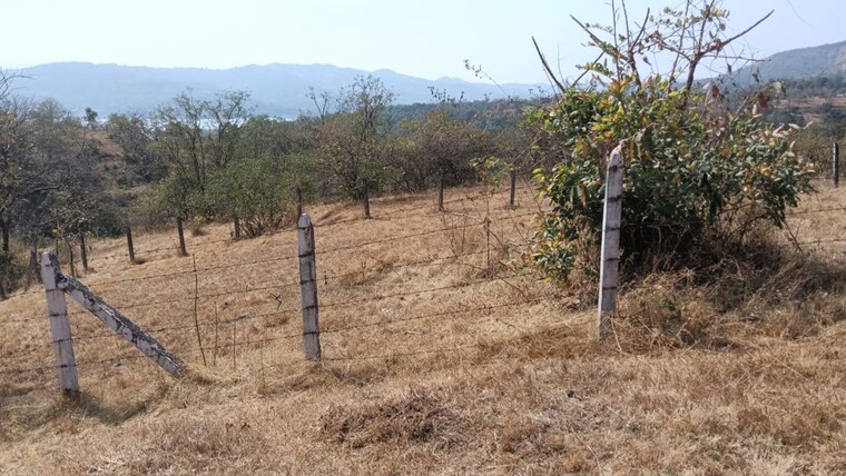 undefined, varasgaon  22000 Sq.Ft. Plot In Varasgaon Pune 10003111