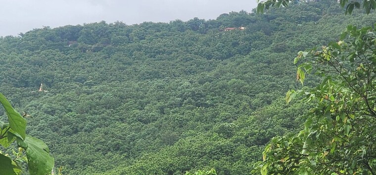 Garden, varasgaon  22000 Sq.Ft. Plot In Varasgaon Pune 10003111