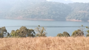  Plot For Sale in Panshet