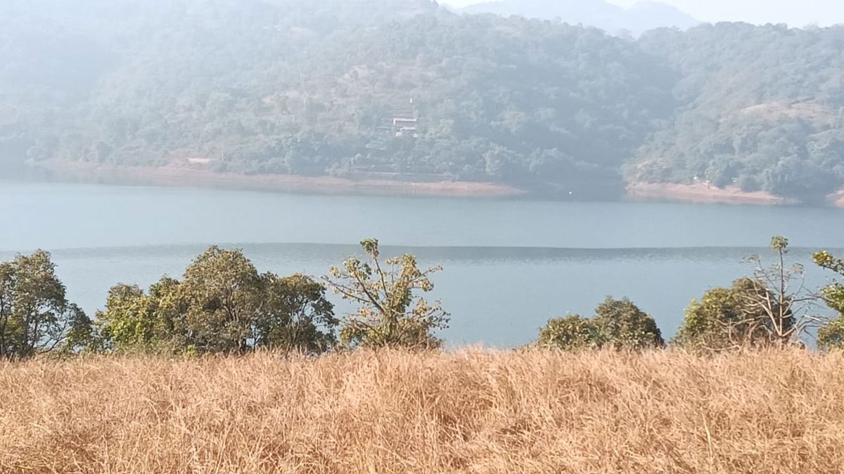 Plot For Sale in Panshet