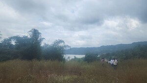 Plot Area in  Plot at Panshet – for Sale