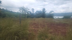 Plot Area in  Plot at Panshet – for Sale