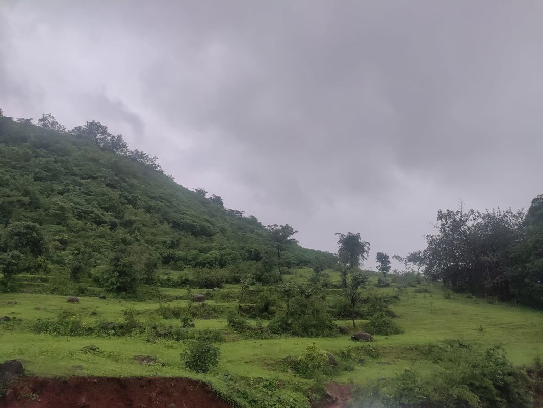 Plot For Sale in Panshet