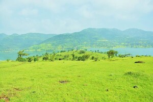  Plot For Sale in Varasgaon