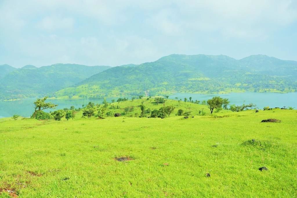 Plot For Sale in Varasgaon