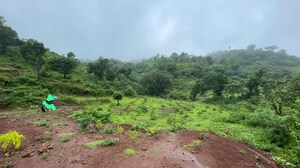 Plot Area in  Plot at Varasgaon – for Sale