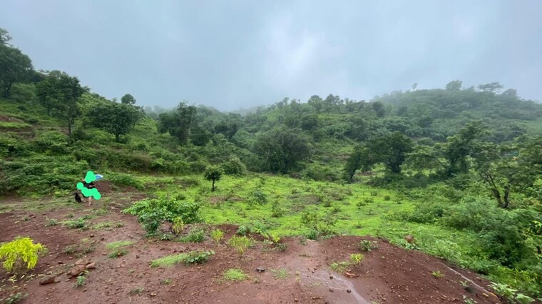 undefined, varasgaon  33000 Sq.Ft. Plot In Varasgaon Pune 10003359