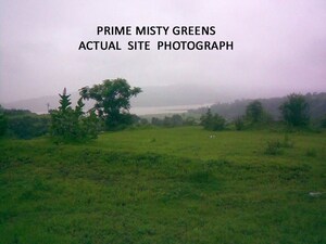 Plot Area in  Plot at Varasgaon – for Sale