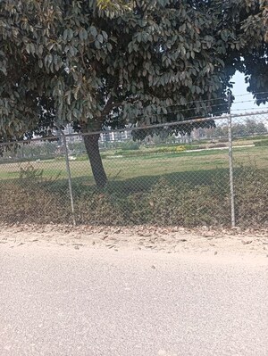 Plot Area in  Plot at Gaur Yamuna City, Gaur Yamuna City – for Sale