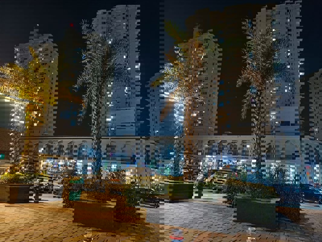 2 BHK 990 Sq.Ft. Apartment in Signature Global The Millennia