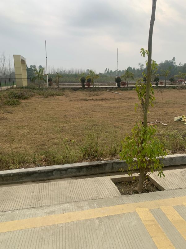 Plot For Sale in Niranjanpur