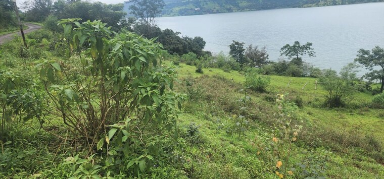 Garden, varasgaon  45000 Sq.Ft. Plot In Varasgaon Pune 10003763