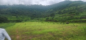 Plot Area in  Plot at Varasgaon – for Sale