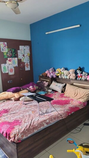 2 BHK Apartment For Rent in Stellar Mi Citihomes, Omicron Iii Greater Noida