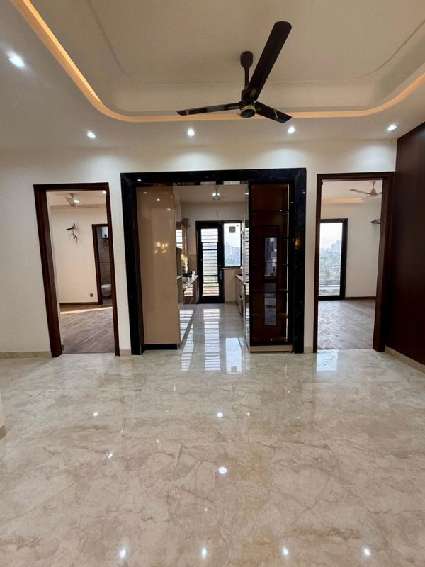 5 BHK + Pooja Room,Servant Room,Study Room,Extra Room Builder Floor For Sale in Sushant Lok II