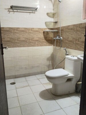 Bathroom in 2 BHK Apartment at Amrapali Dream Valley, Tech Zone 4 Greater Noida – for Rent