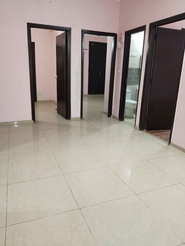 2 BHK Apartment For Rent in Amrapali Dream Valley, Tech Zone 4 Greater Noida