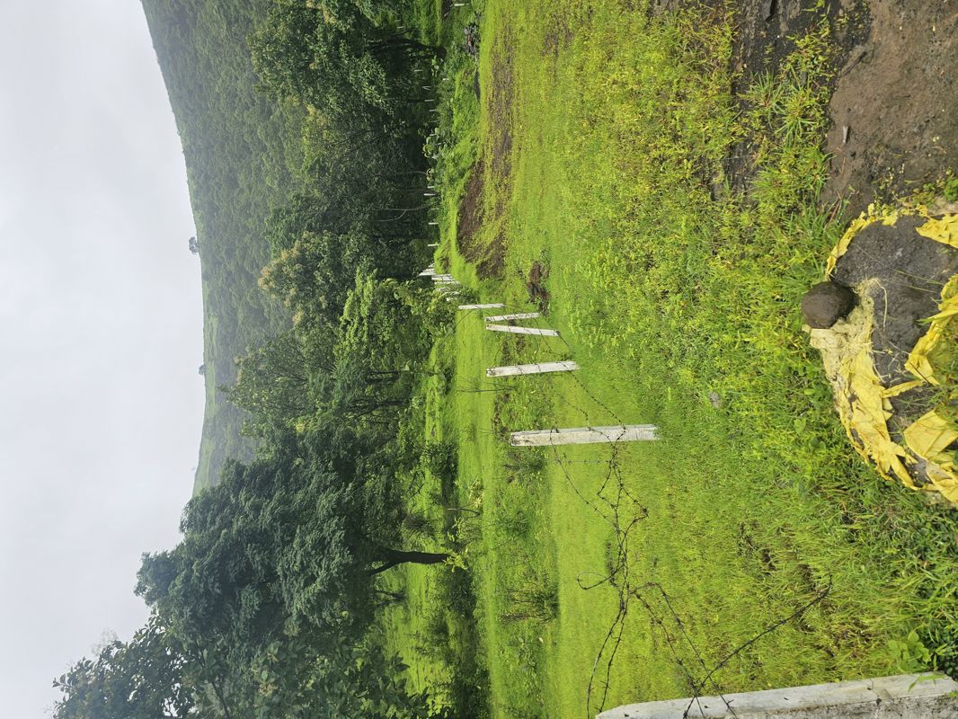 Plot For Sale in Panshet