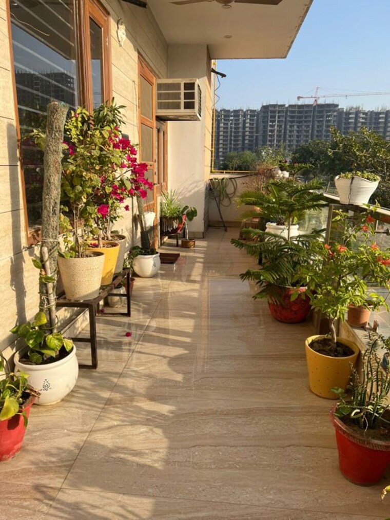 Garden, sector 85 3 Bedroom 250 Sq.Yd. Apartment In Sector 85 Faridabad 10004923