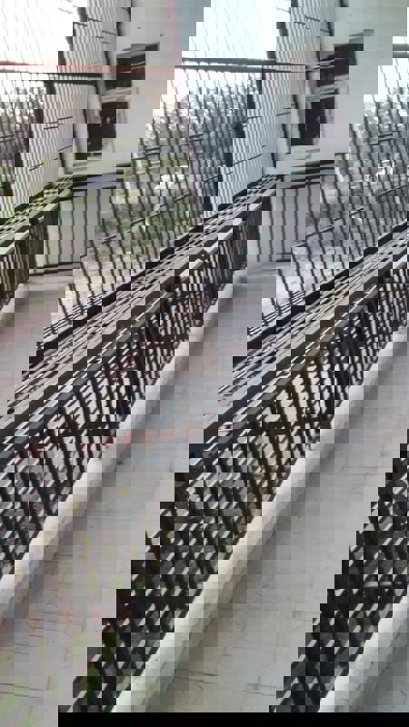 4 BHK + Pooja Room 300 Sq.Yd. Builder Floor in BPTP Park Elite Floor II