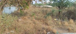 Plot For Sale in Kardanur